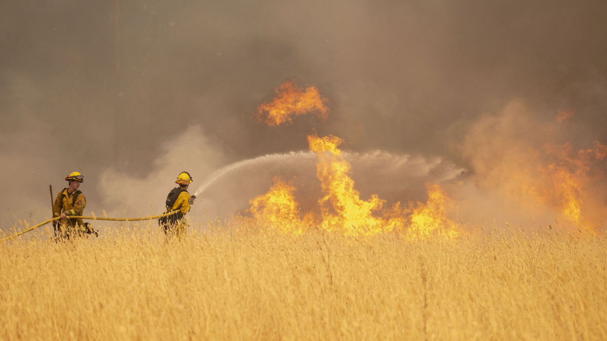 California Lawmakers Demand an Investigation Into Verizon&rsquo;s Slowdown of Firefighters&rsquo; Data