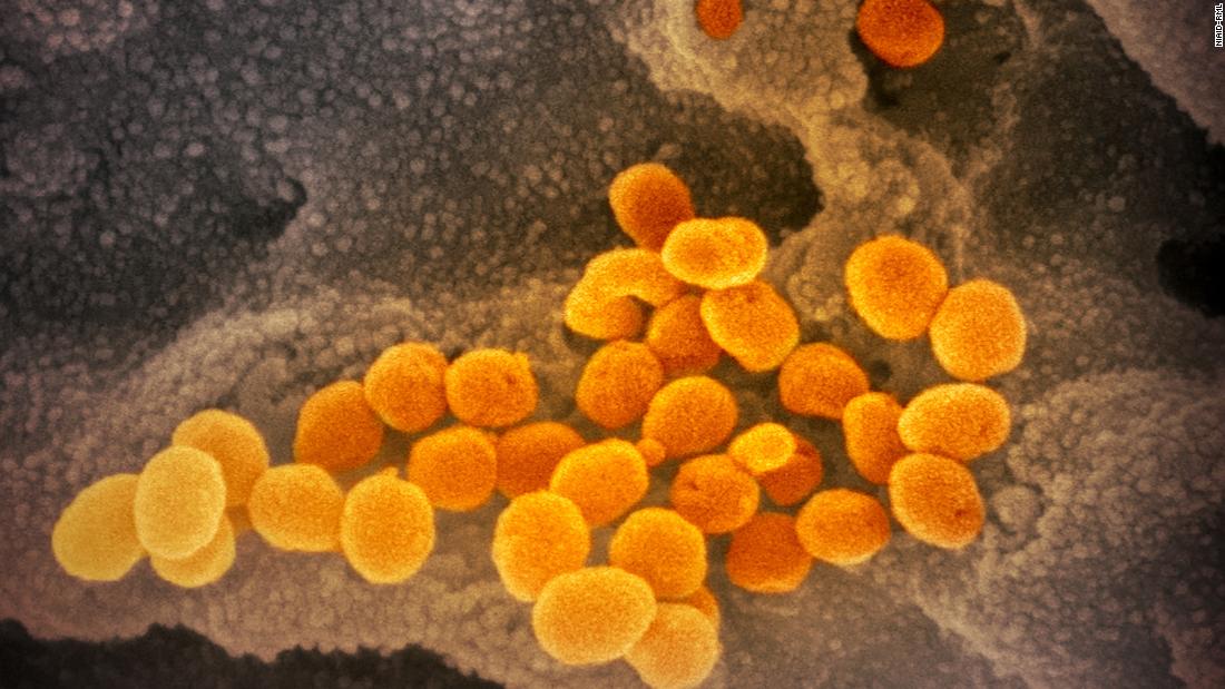 Fauci warns against early authorization of a coronavirus vaccine